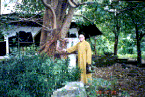 The author with Bodhi tree, Bataan '99